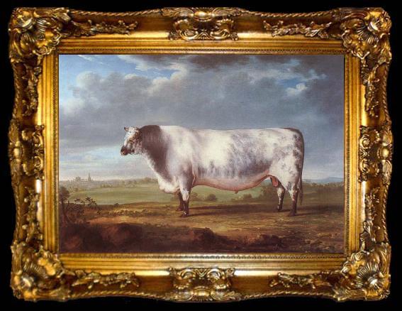 framed  Thomas Alder A Prize Bull, ta009-2